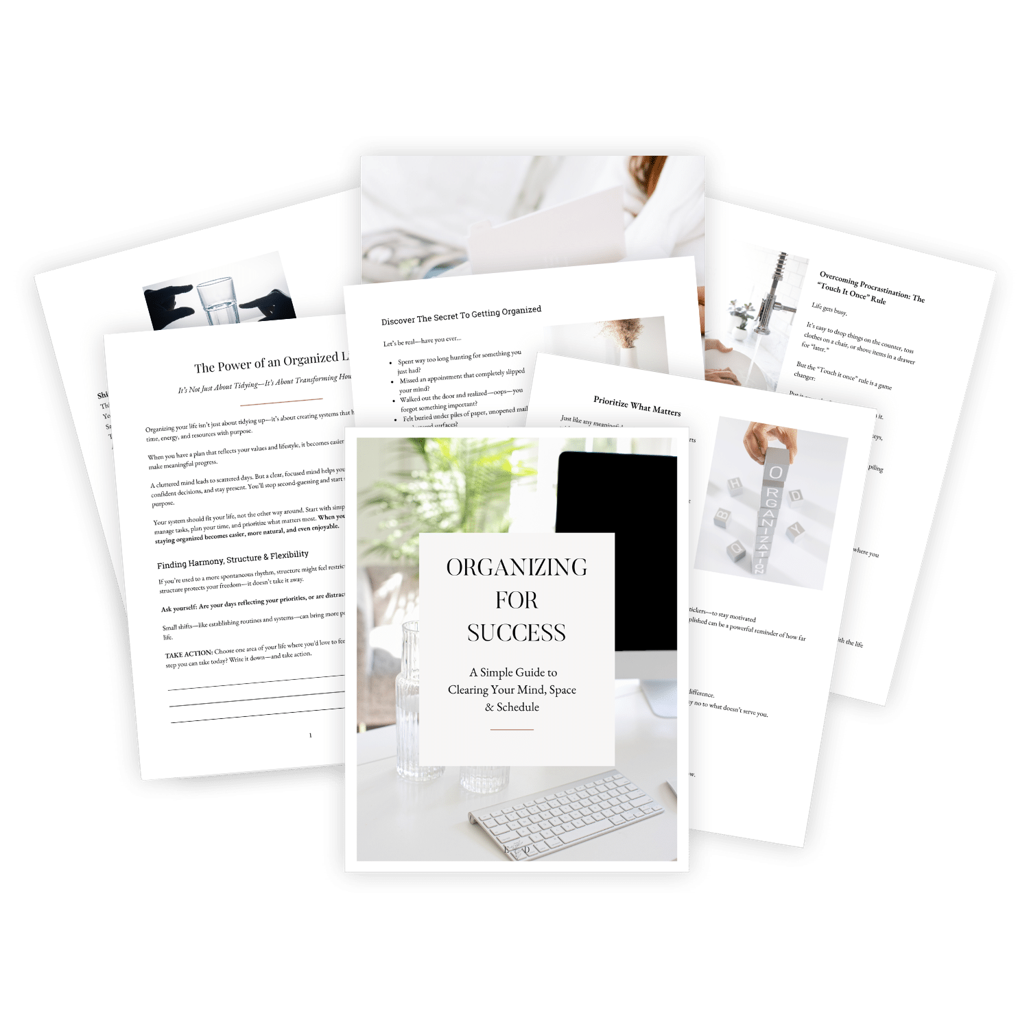 organizing for success ebook