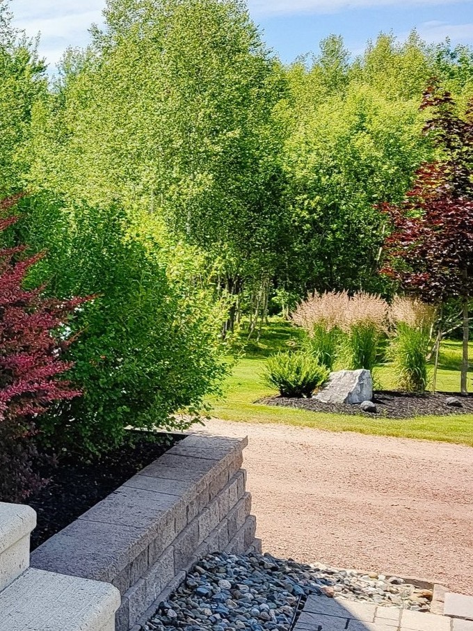 front yard gardens