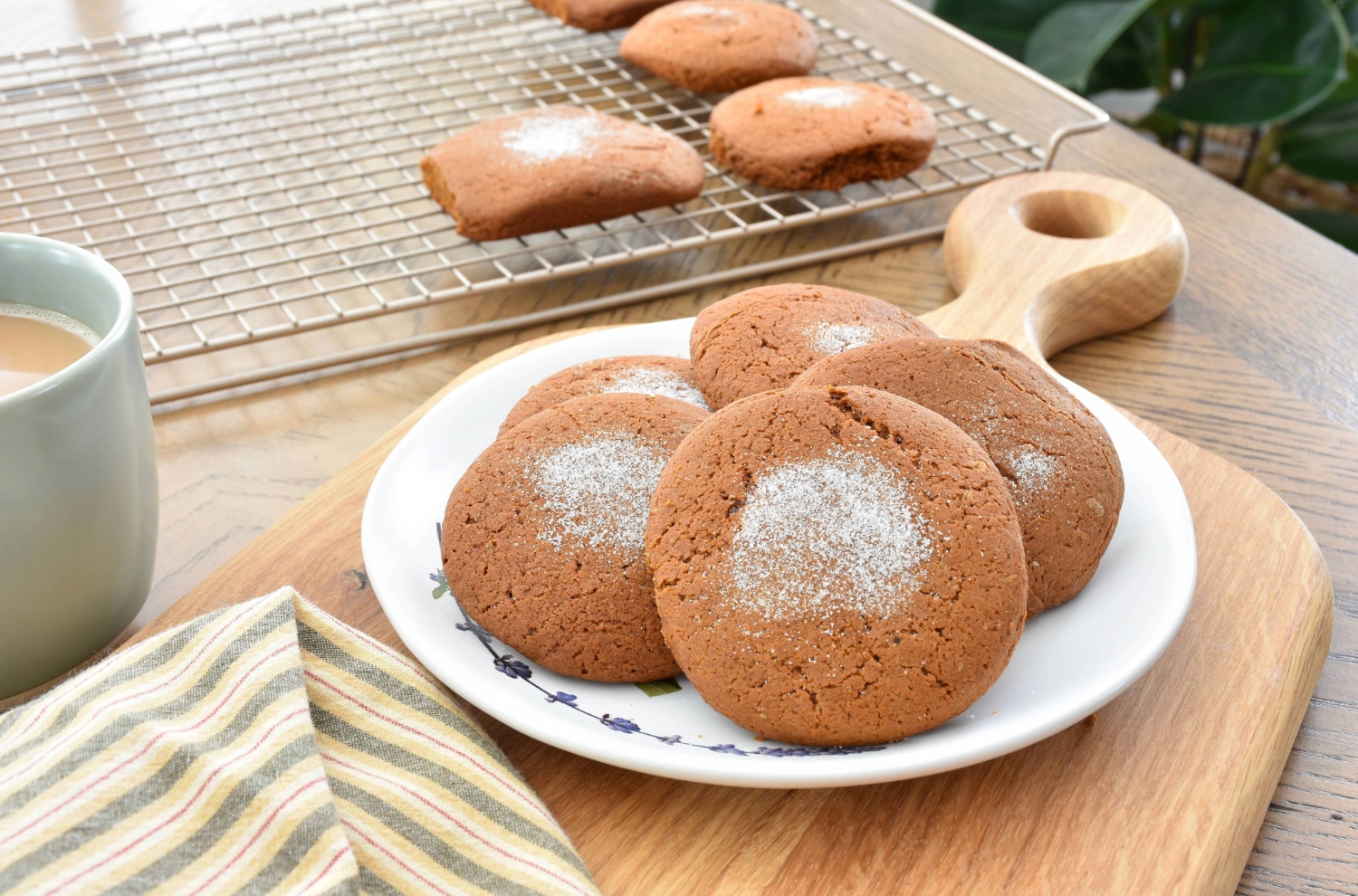 soft molasses cookie