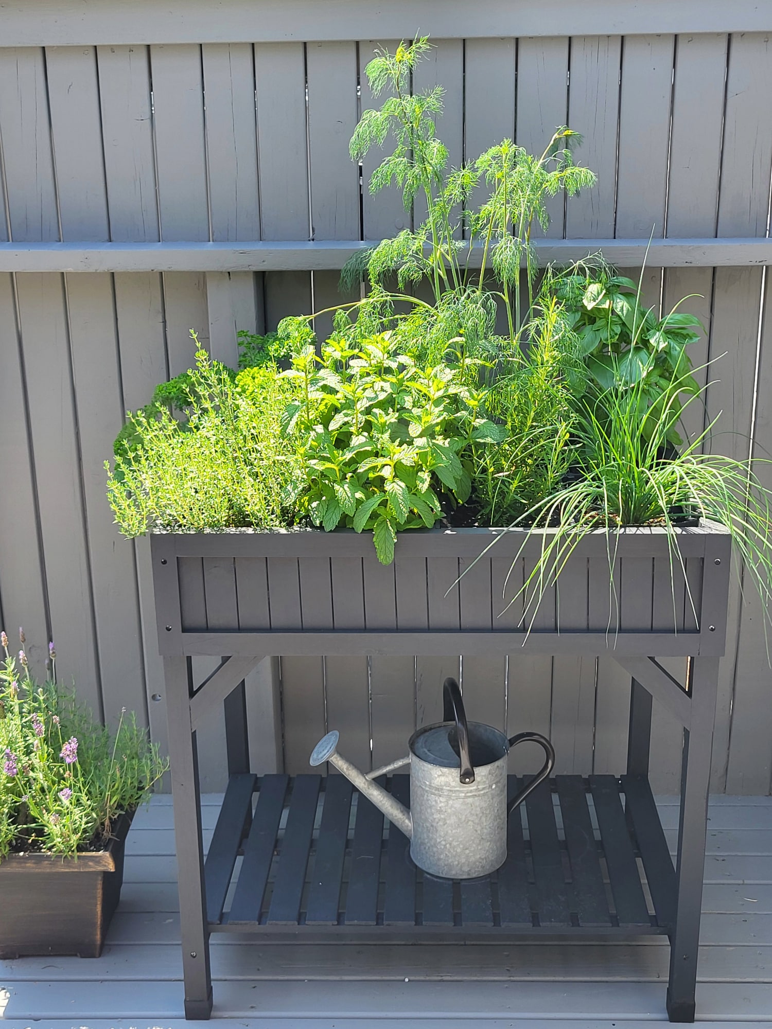 herb garden