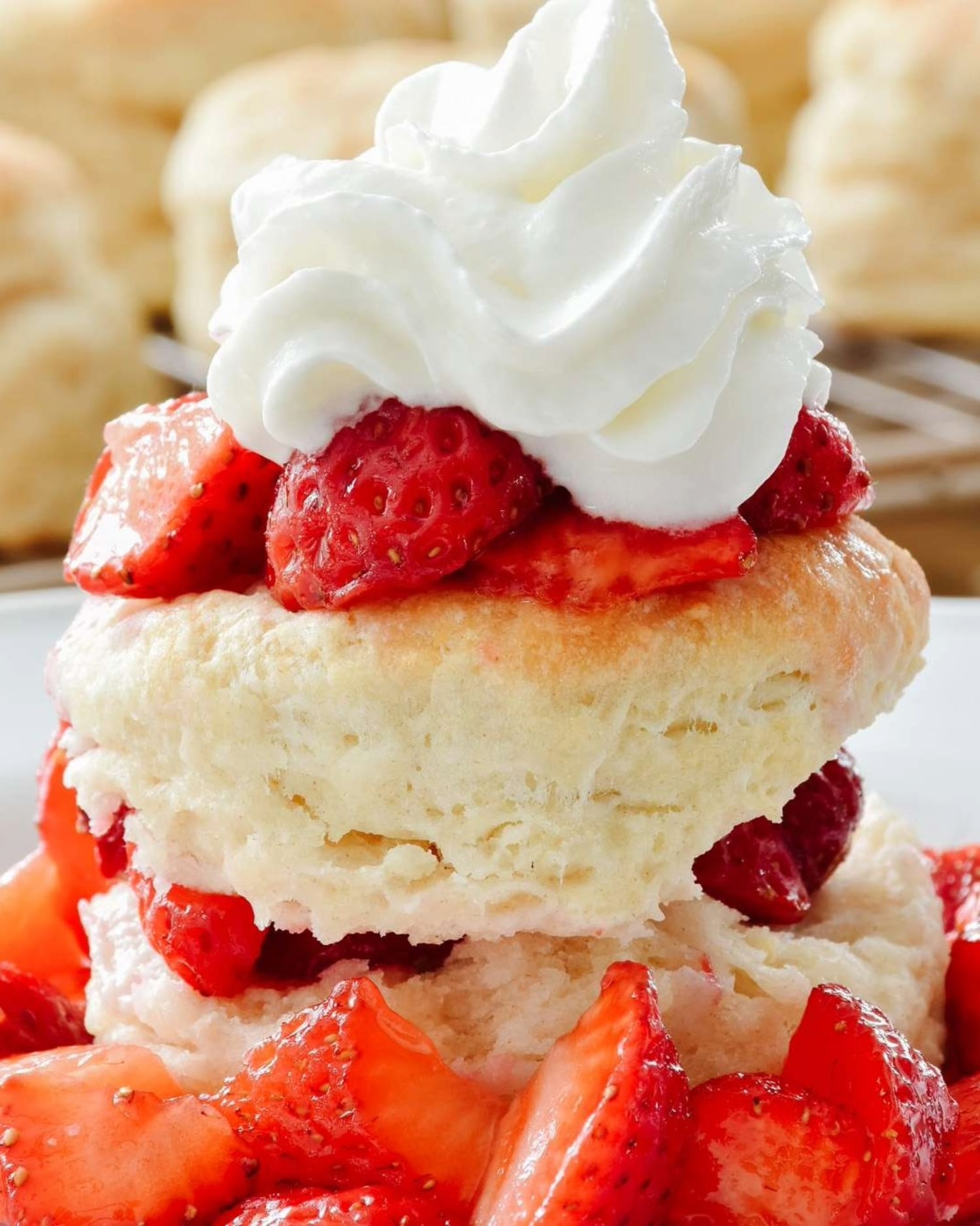 strawberry shortcake biscuit