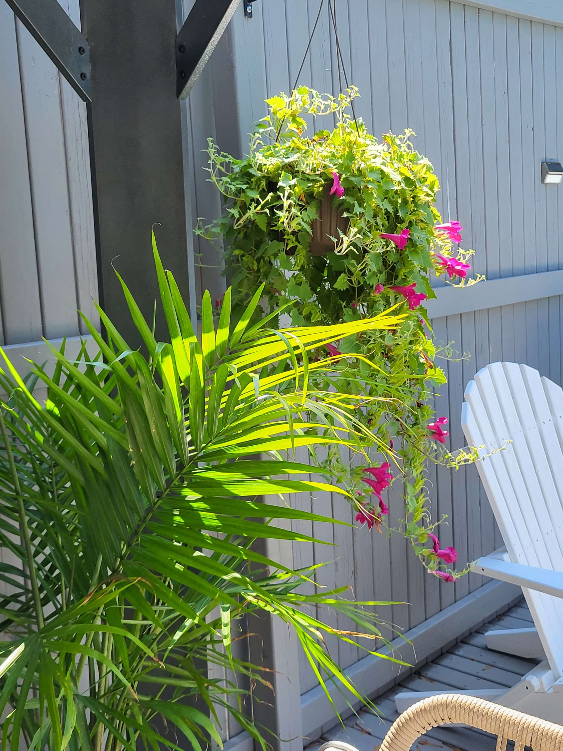 types of outdoor spaces