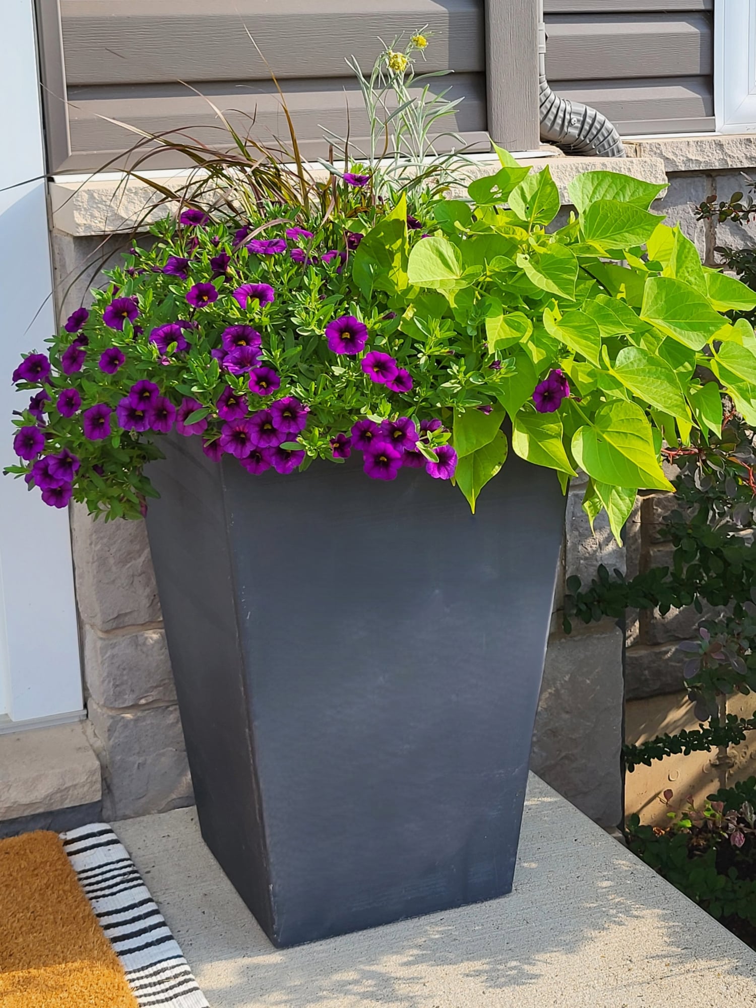container planter