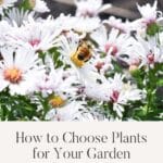 how to choose plants for your garden that will thrive