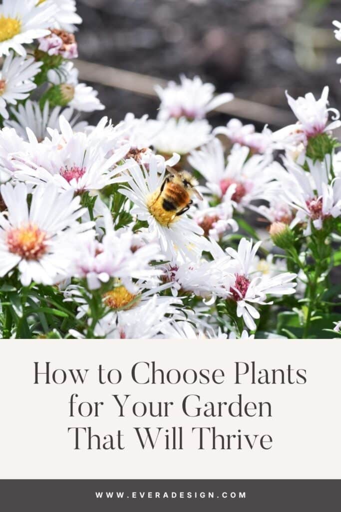 how to choose plants for your garden that will thrive