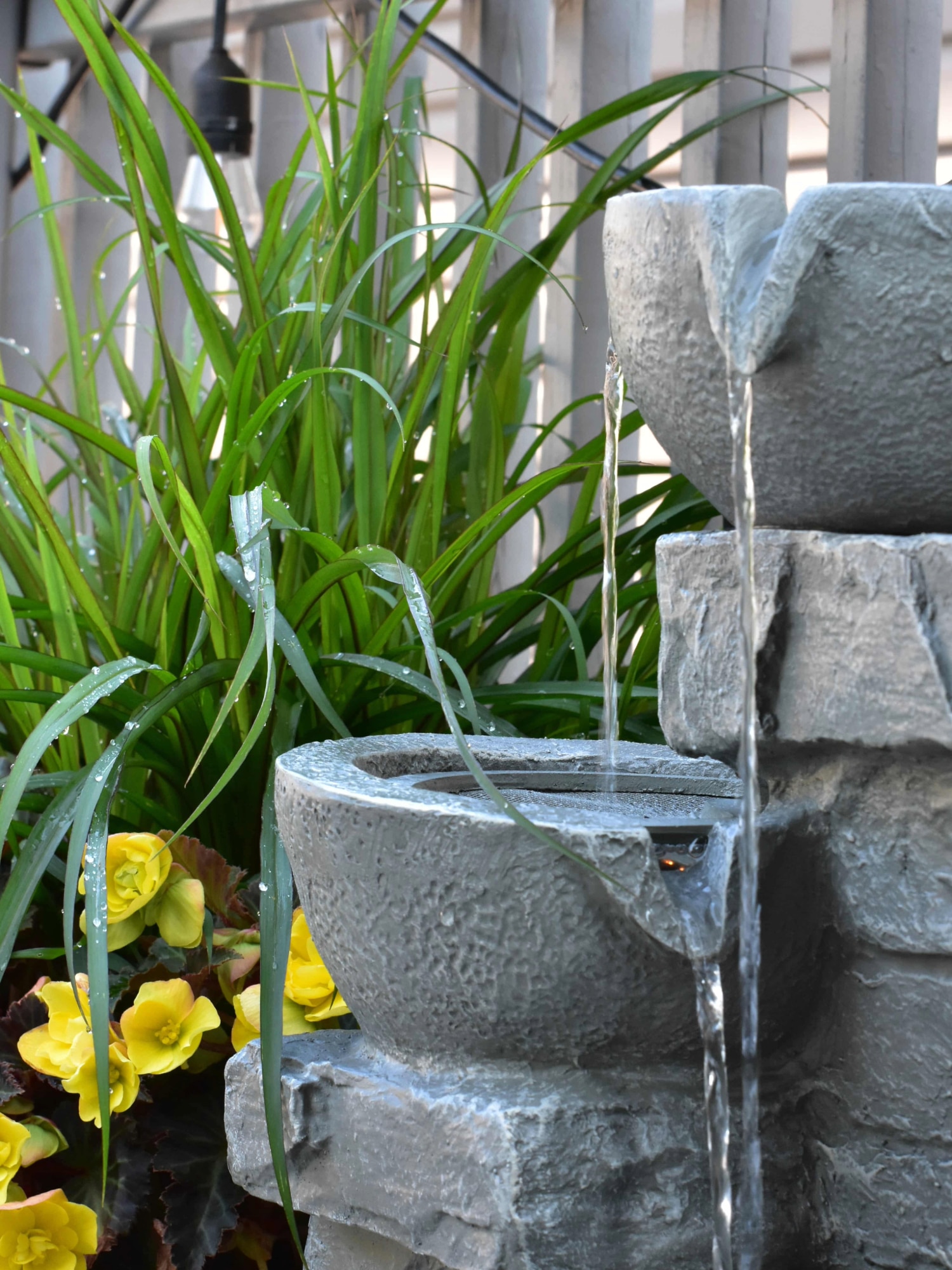 how to choose plants for your garden